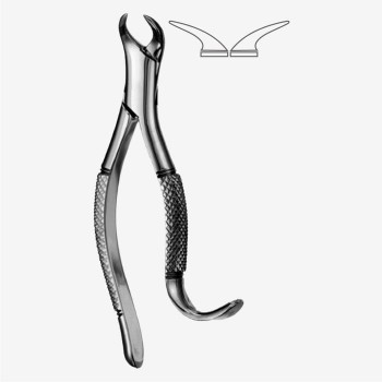 American Pattern Tooth Extraction Forceps Fig. 16S