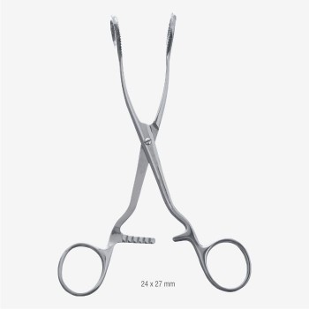 Collin Tongue Holding Forceps