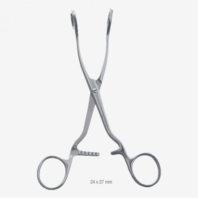 Collin Tongue Holding Forceps Collin Tongue Holding Forceps