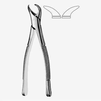 Cowhorn American Pattern Tooth Extraction Forceps Fig. 23