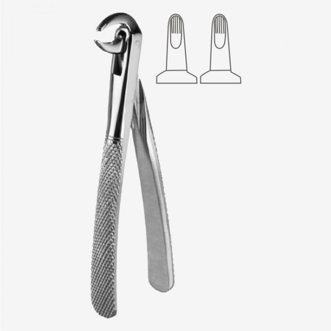English Pattern Tooth Extraction Forceps Fig. 123
