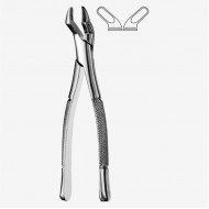 American Pattern Tooth Extraction Forceps Fig. 10S