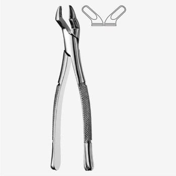 American Pattern Tooth Extraction Forceps Fig. 10S