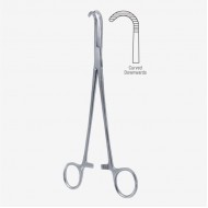 Desjardins Bile Duct Clamp