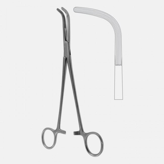 McQuigg-Mixter Dissecting and Ligature Forceps McQuigg-Mixter Dissecting and Ligature Forceps