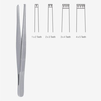 Standard Dissecting Forceps