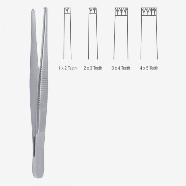 Standard Dissecting Forceps Standard Dissecting Forceps