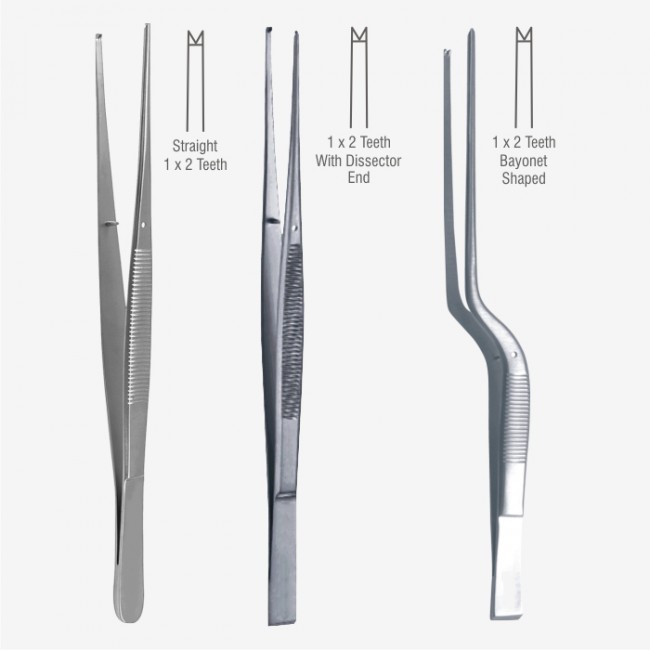 Taylor Dissecting Forceps Taylor Dissecting Forceps