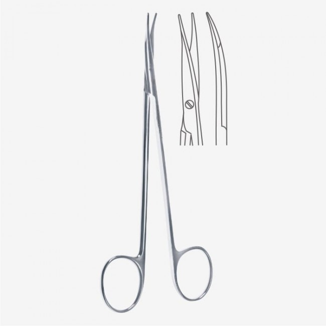 Jameson-Werber Dissecting Scissors Jameson-Werber Dissecting Scissors