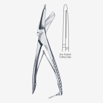 Plaster of Paris Shear