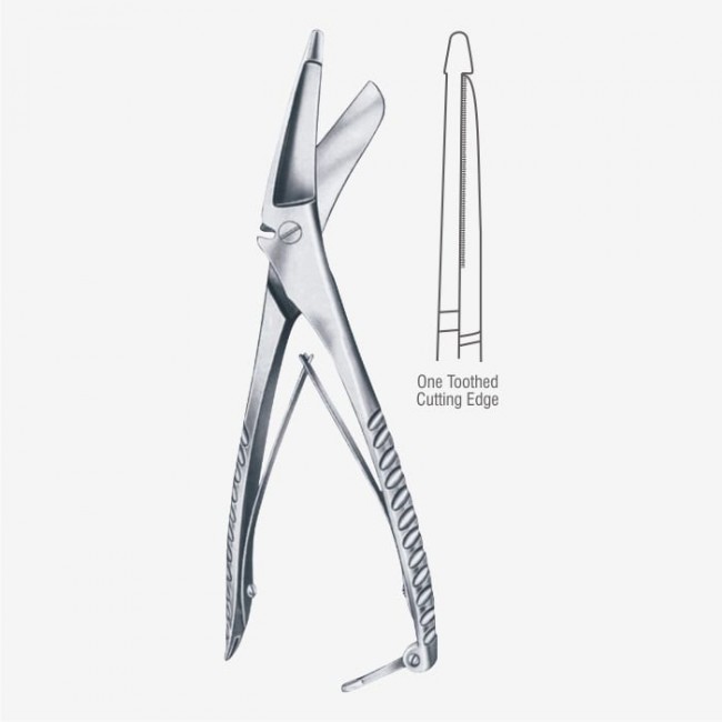 Plaster of Paris Shear Plaster of Paris Shear