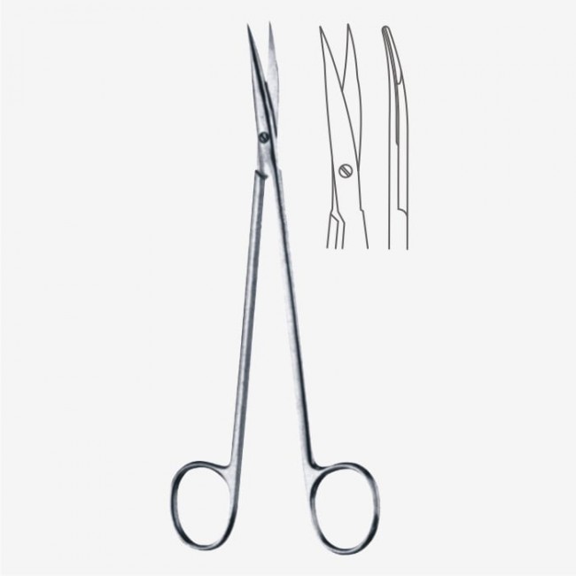 Potts Dissecting Scissors Potts Dissecting Scissors