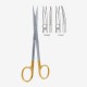 Iris Scissor Iris Scissor